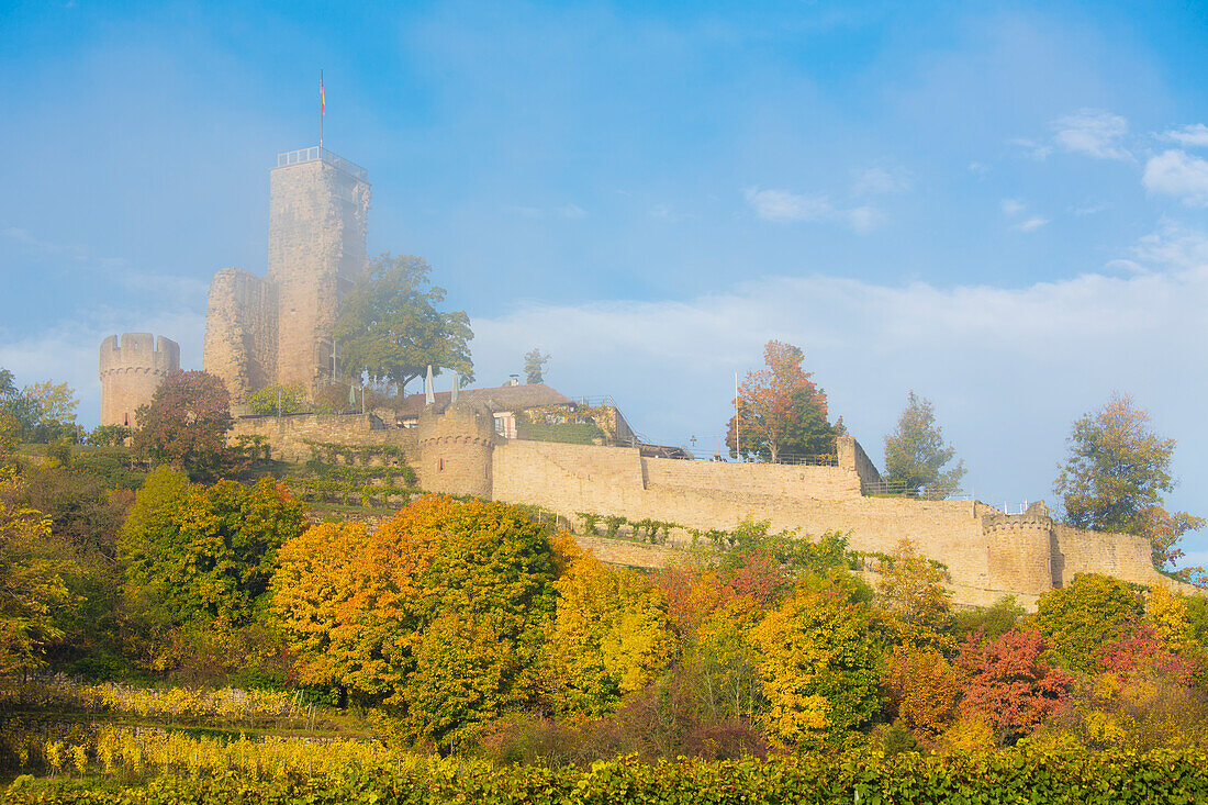  The Wachtenburg in the autumn fog, Wachenheim an der Weinstrasse, Rhineland-Palatinate, Germany 
