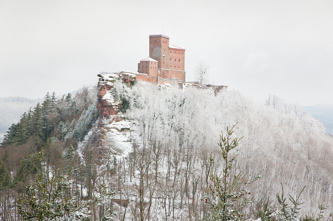 Die verschneite Reichsburg Trifels, Annweiler, Rheinland-Pfalz, Deutschland