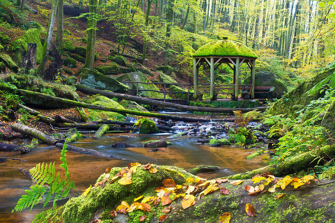 Die Moosalbe im Karlstal im Herbst, im Hintergrund der Pavillion, Pfälzerwald, Trippstadt, Rheinland-Pfalz, Deutschland