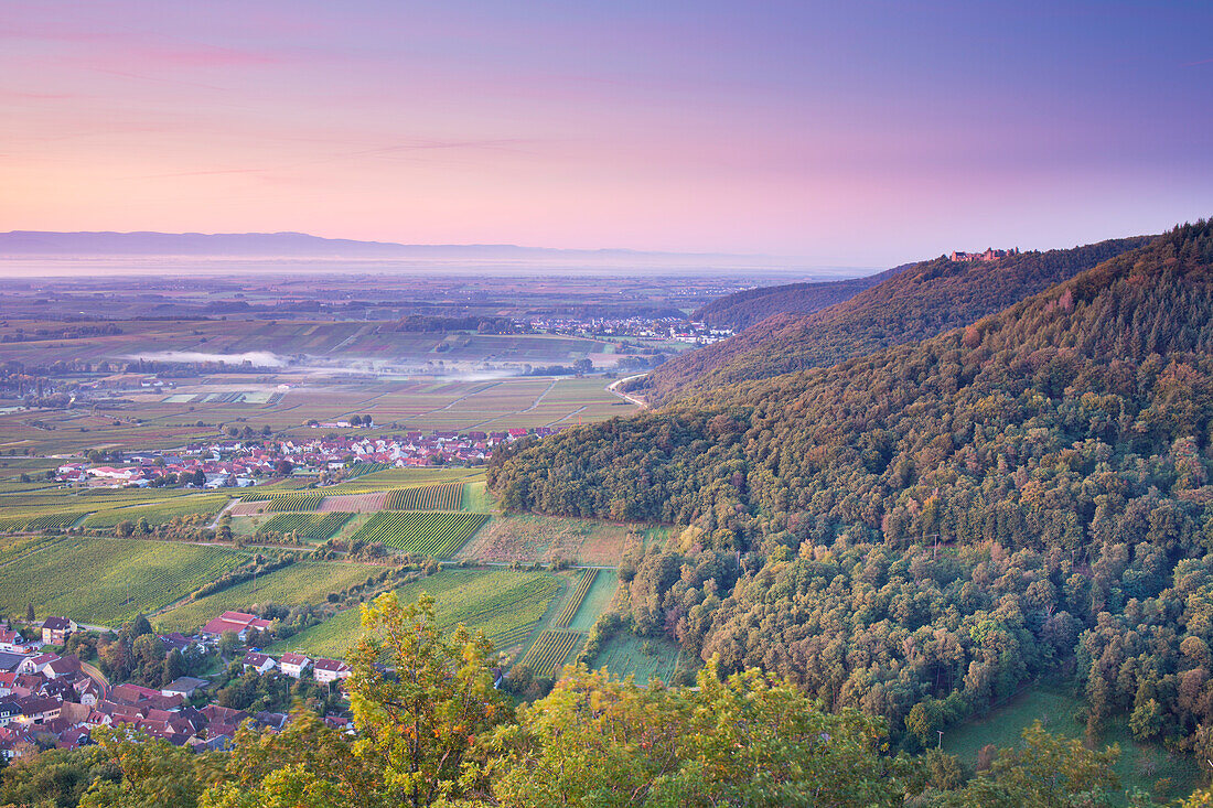 Blick von der Burg Neukastell auf die Rheinebene und den Pfälzerwald, Leinsweiler an der Weinstraße, Rheinland-Pfalz, Deutschland