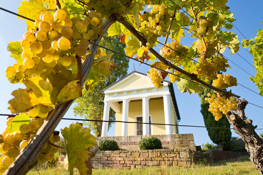  The Sun Temple in the vineyards of Maikammer on the Wine Route, Rhineland-Palatinate, Germany 