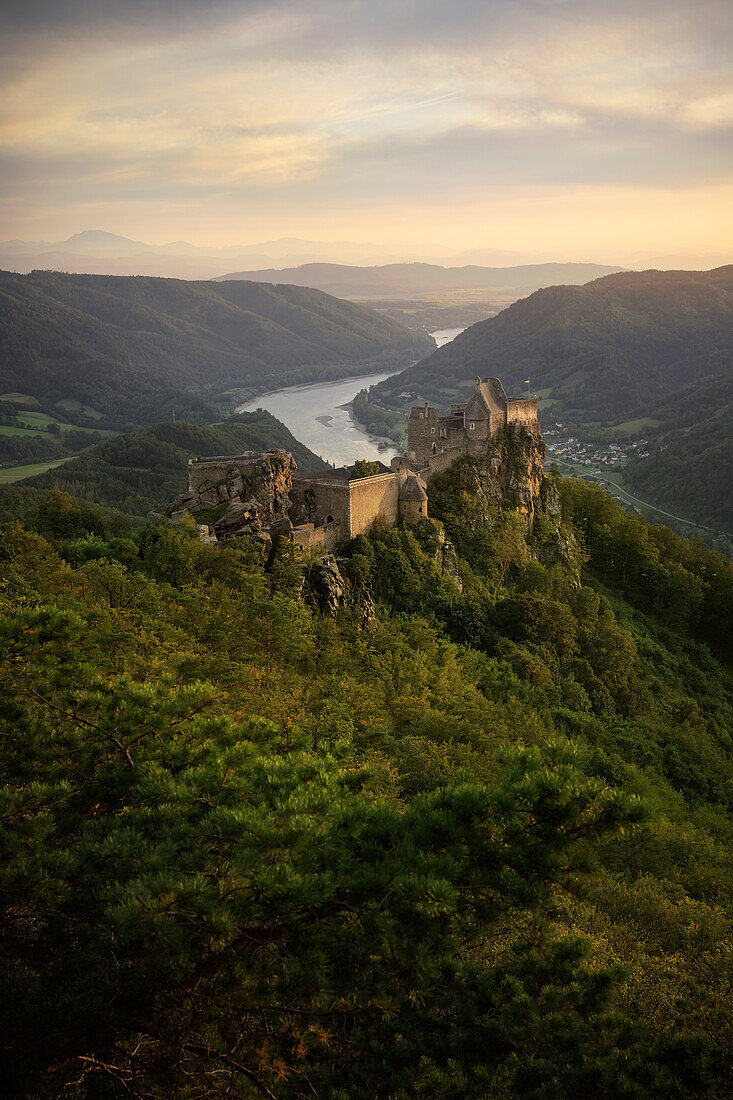 UNESCO Welterbe "Kulturlandschaft Wachau", Blick über Burgruine Aggstein hin zur Donau, Schönbühel-Aggsbach, Niederösterreich, Österreich, Europa