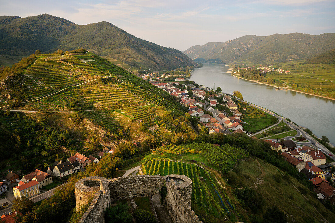  Hinterhaus castle ruins with a view of Spitz on the Danube and the Apothekerimerberg, UNESCO World Heritage Site “Wachau Cultural Landscape”, Lower Austria, Austria, Europe 