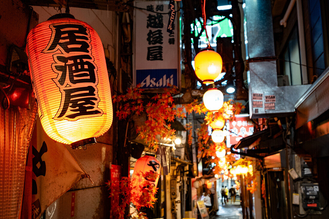 Berühmte Gasse mit verschiedenen Imbissständen, Omoide Yokocho, Shinjuku City, Tokio, Tokyo, Japan, Asien
