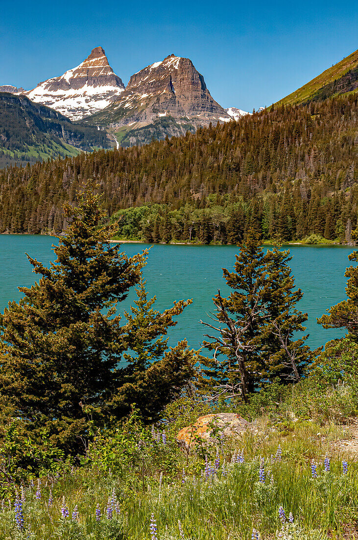 Landschaft mit See, Bäume und Berge im Glacier National Park, Montana, USA