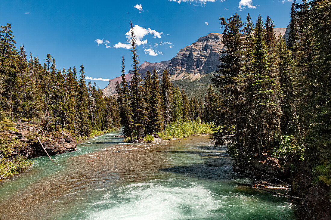 Landschaft mit Fluss, Bäume und Berge im Glacier National Park, Montana, USA
