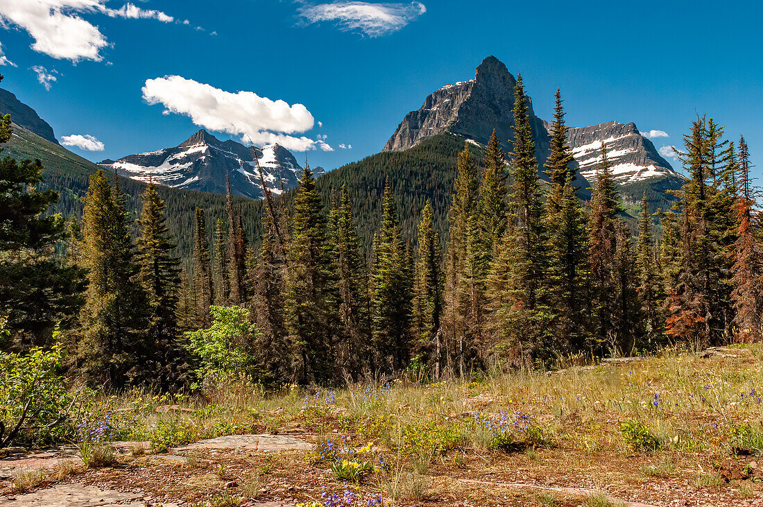 Mountain scenes from Glacier National Park