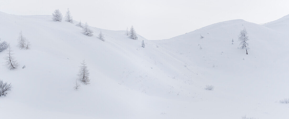  snowy landscape at Gardena Pass, Passo Gardena, South Tyrol, Alto Adige, Italy 