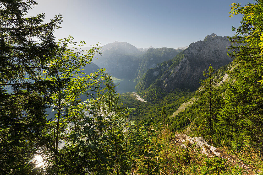 Königssee von der Archenkanzel, Nationalpark Berchtesgaden, Berchtesgadener Land, Bayern, Deutschland