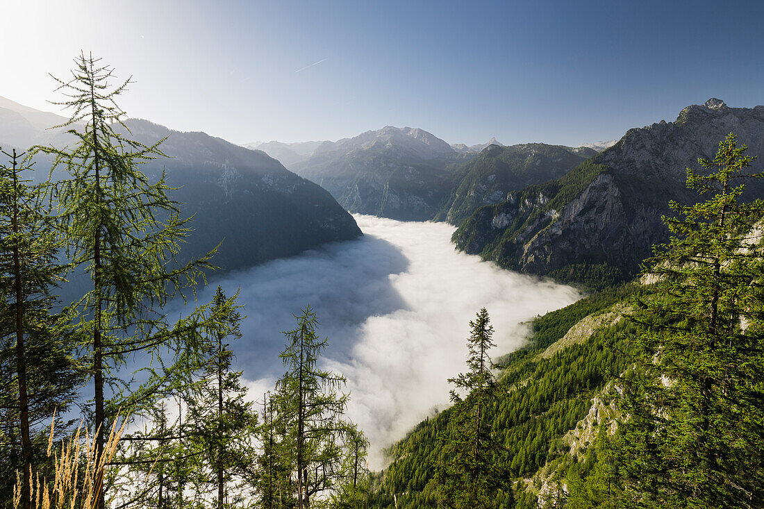 Königssee von der Archenkanzel, Nationalpark Berchtesgaden, Berchtesgadener Land, Bayern, Deutschland