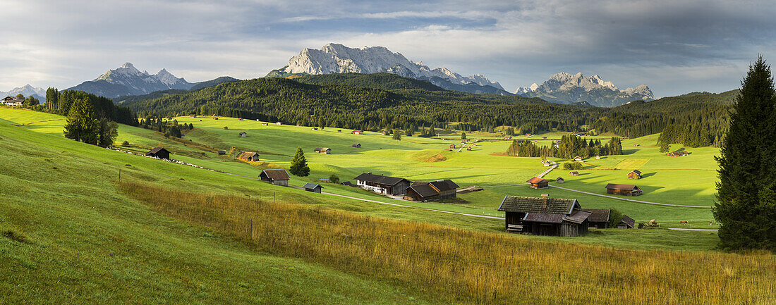  Buckelwiesen, Krün, Wetterstein Mountains, Mittenwald, Bavaria, Germany 
