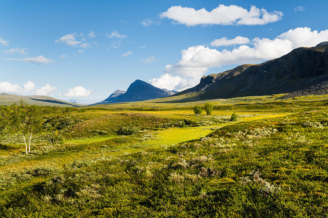 Berg Nijak, Gisuris Massiv, Sarek Nationalpark, Lappland, Schweden, Europa