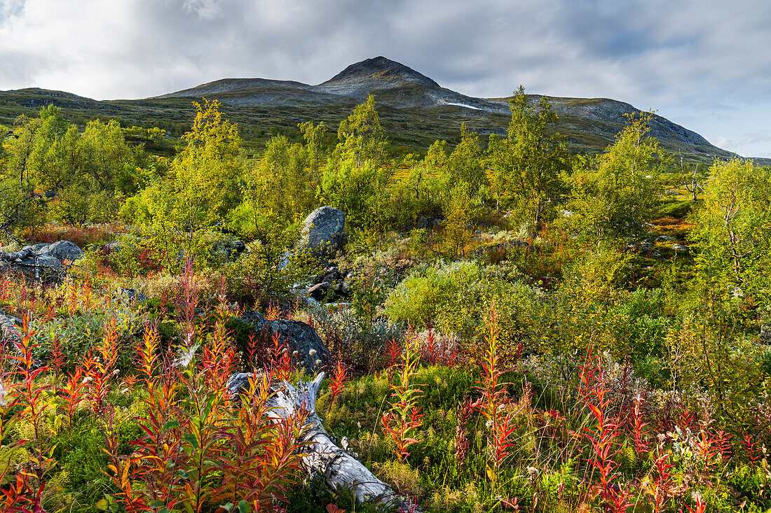 Berg Hallji, Stora Sjöfallet Nationalpark, Lappland, Schweden, Europa