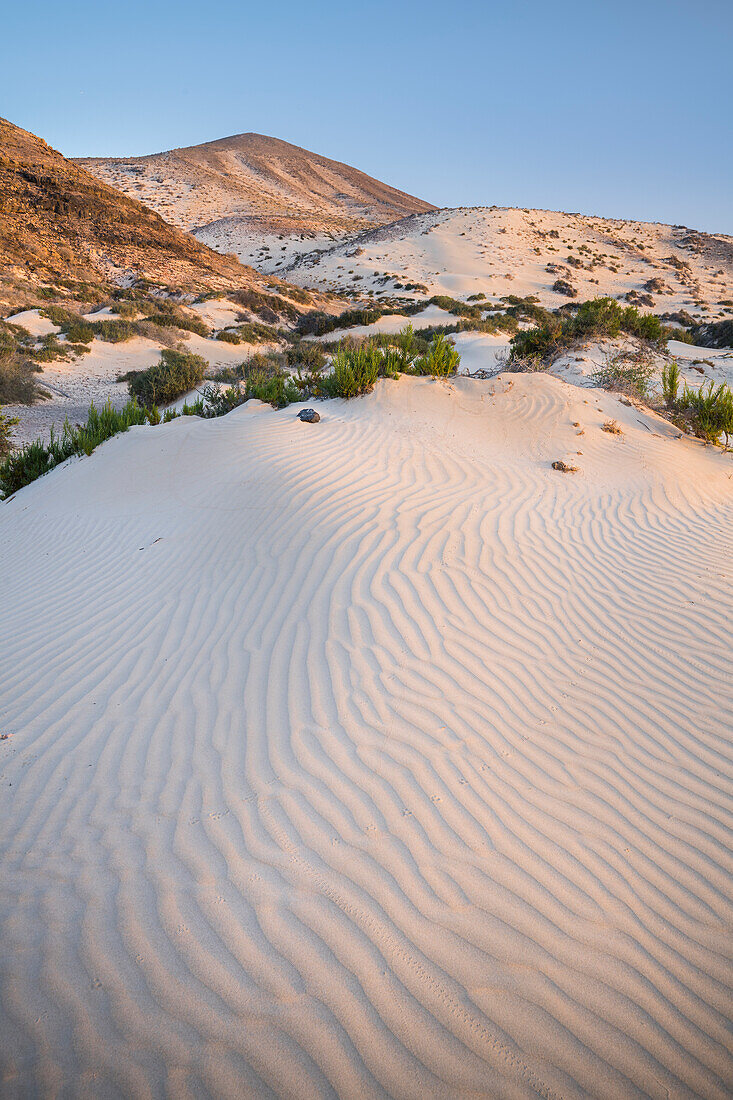  Sand dunes at Playa de Sotavento de Jandia, Fuerteventura, Canary Islands, Spain 