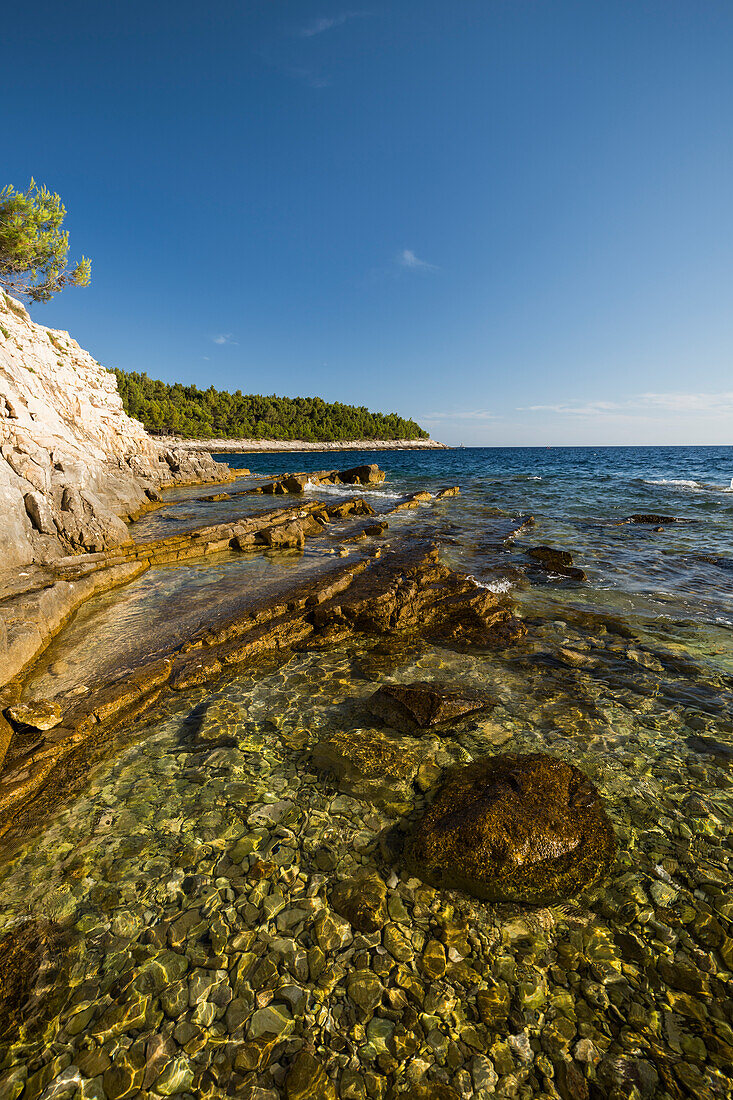  Rocky coast in Kamenjak nature reserve, Premantura peninsula, Pula, Istrian, Croatia 