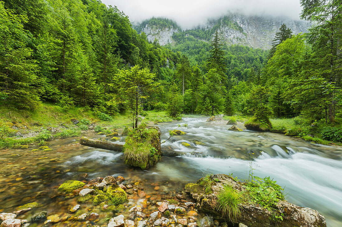  Höllbach, Bluntautal, Salzburg, Austria 