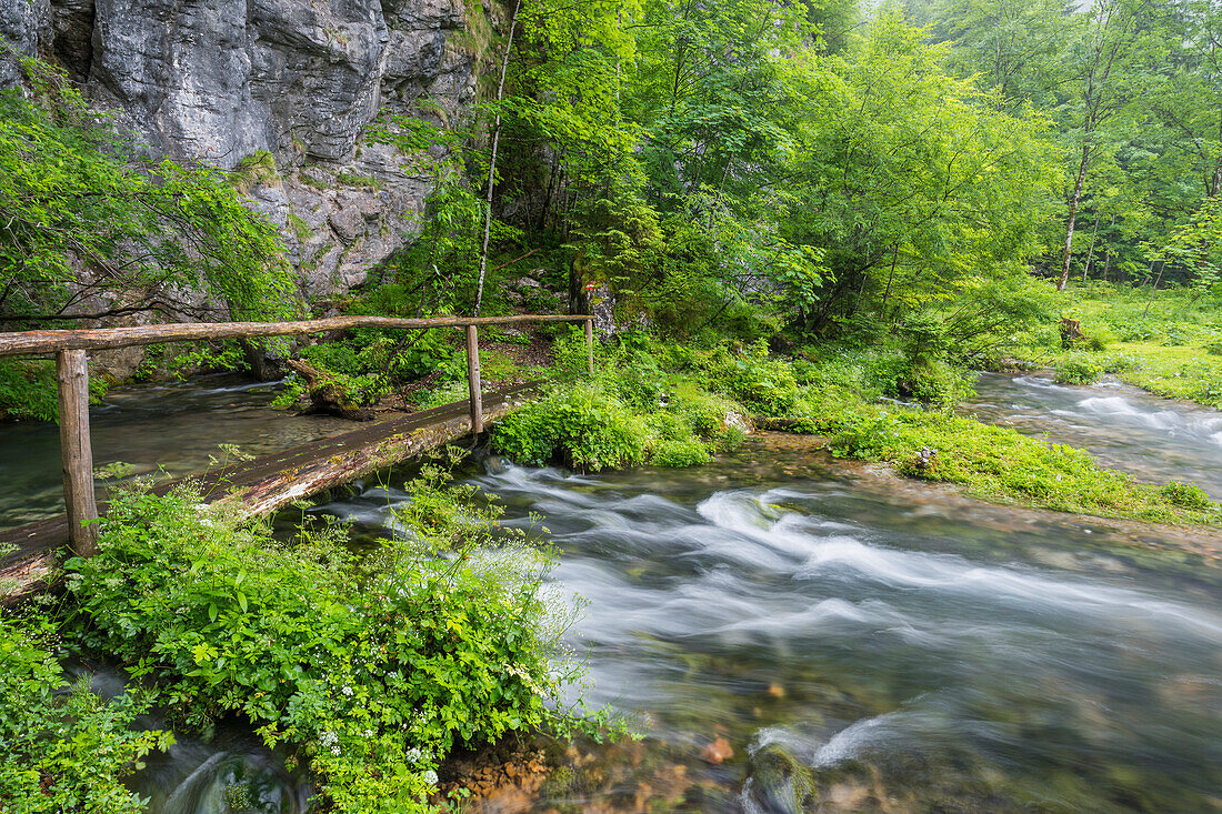  Höllbach, Bluntautal, Salzburg, Austria 