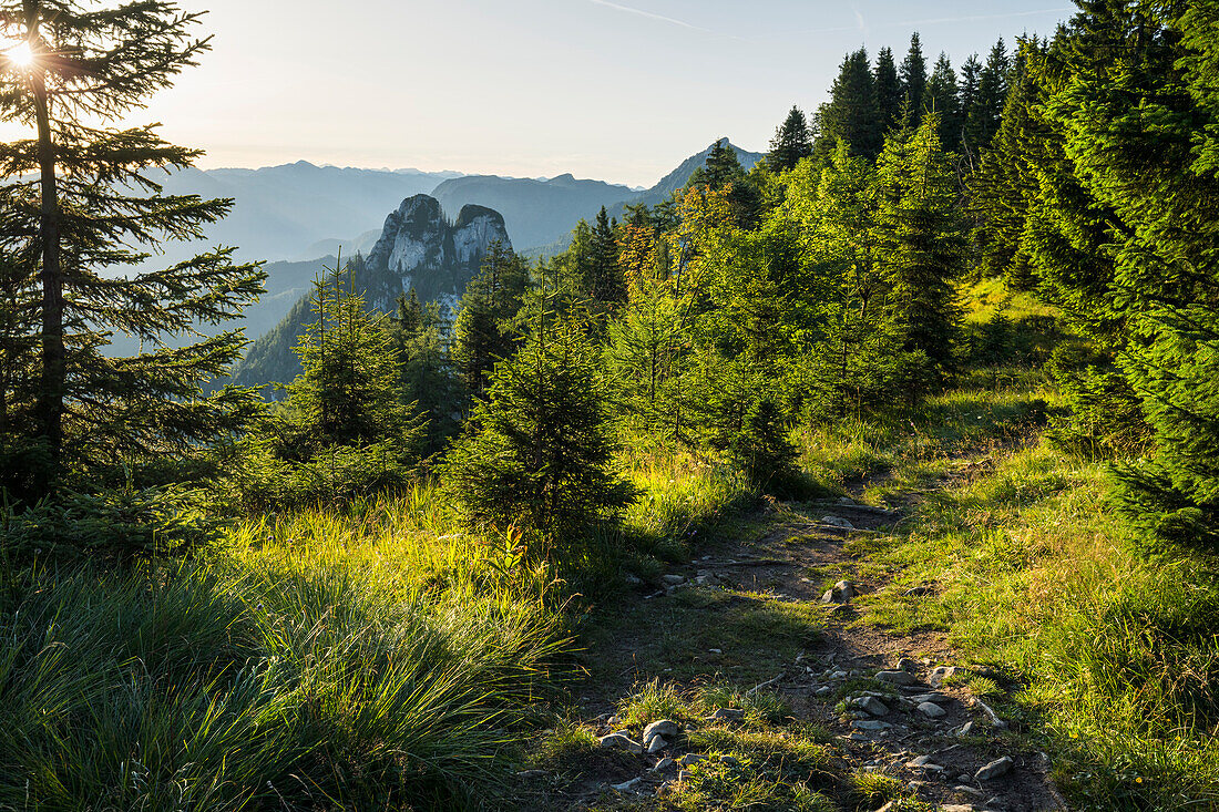 Weg auf der Bleckwand, Salzkammergut, Salzburg, Österreich