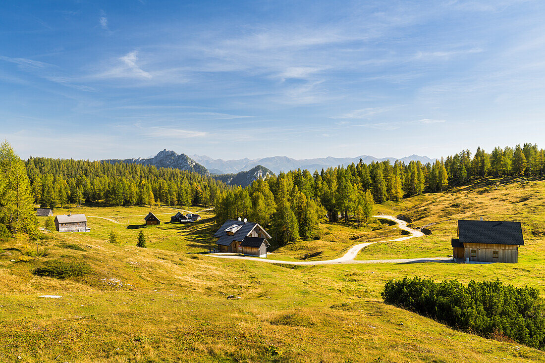 Hütten auf der Tauplitz, Taupltzalm, Steiermark, Österreich