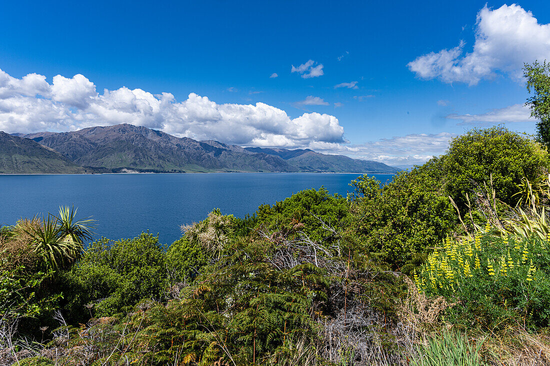 Blick auf den Lake Wanaka von Wanaka und von Aussichtspunkten aus, Neuseeland