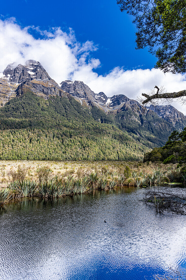 Eine einsame Ente sitzt im See, Mirror Lakes, Neuseeland