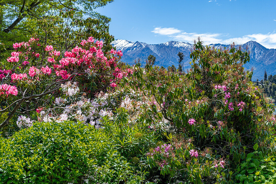 Wunderschöne Farben im Blumengarten der Walter Peak High Country Farm, Neuseeland