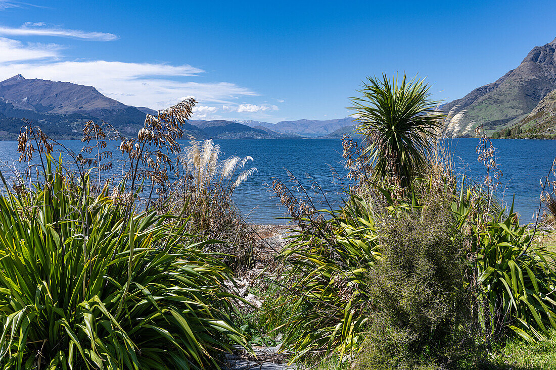 Wunderschöne Farben im Blumengarten der Walter Peak High Country Farm, Neuseeland