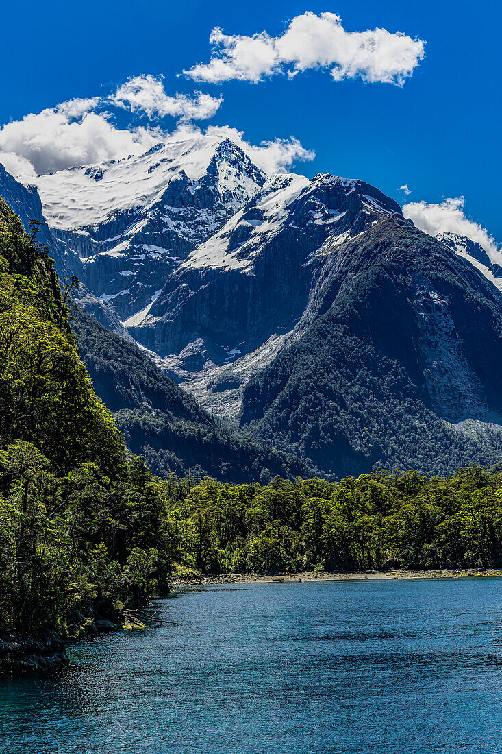 Views of Milford Sound while on a boat to the ocean.