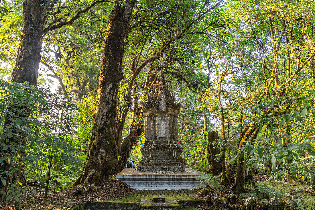 Yod Doi Nature Trail mit dem King Inthanon Memorial Shrine, Doi Inthanon Nationalpark, Chiang Mai, Thailand, Asien
