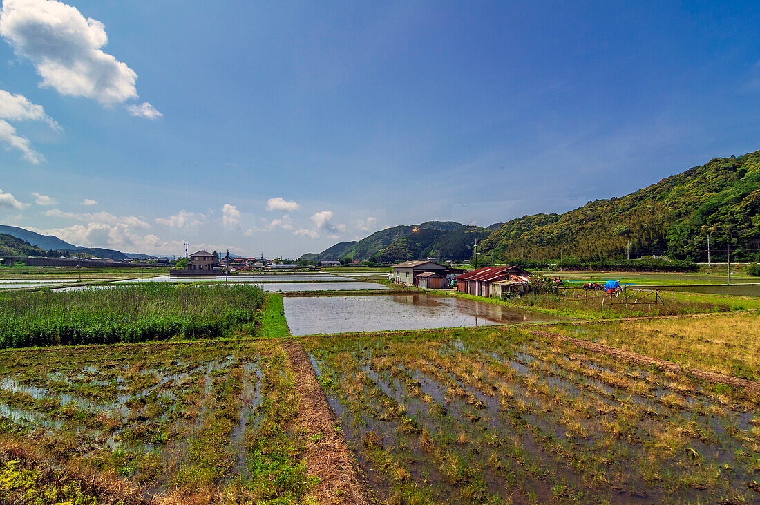 Reisfelder entlang des Marumaru no Hanashi Zuges, San'in-Linie entlang der westlichsten Küste von der Hauptinsel Honshū, Japan