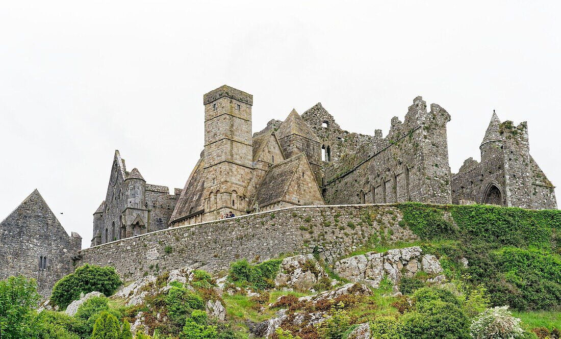 Ireland, County Tipperary, Cashel, Rock of Cashel