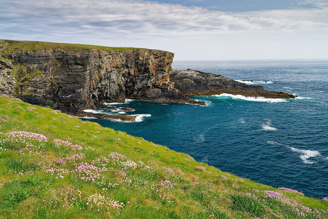 Ireland, County Cork, Mizen Peninsula, rocky coast at Mizen Head