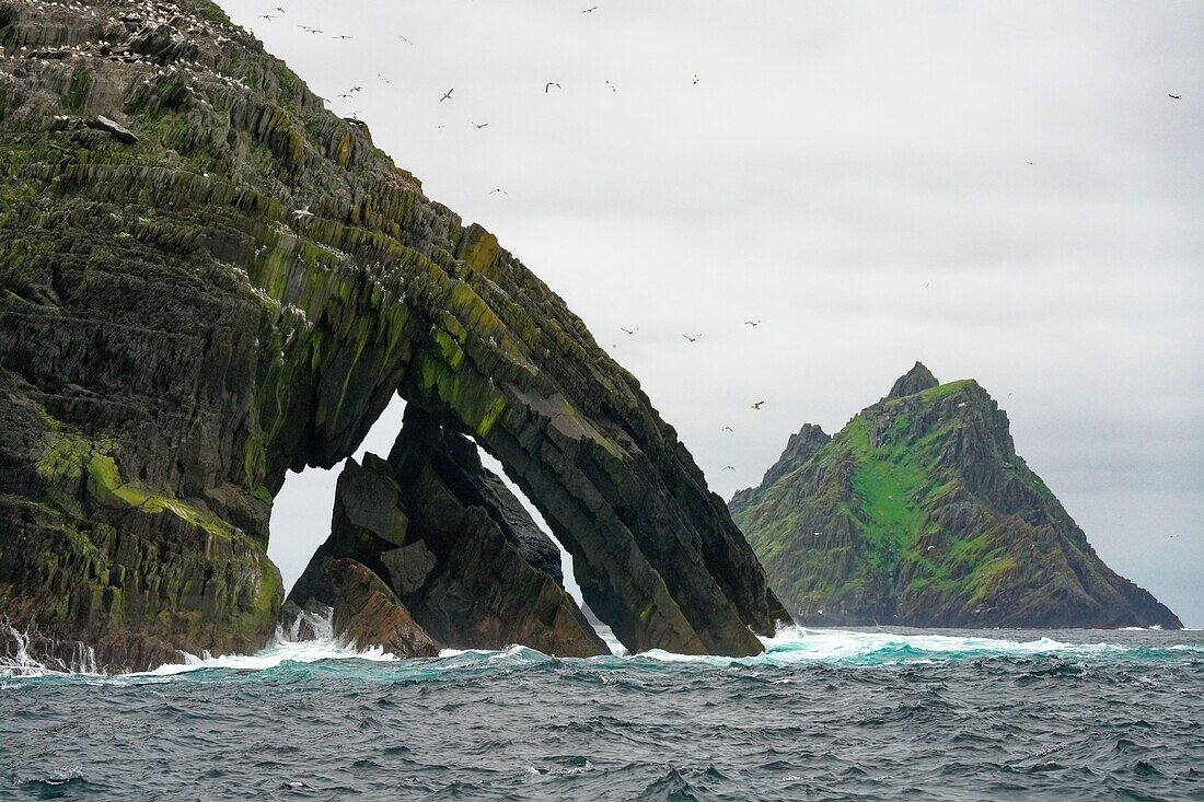 Ireland, County Kerry, Little Skellig Island, Looking west towards Skellig Michael