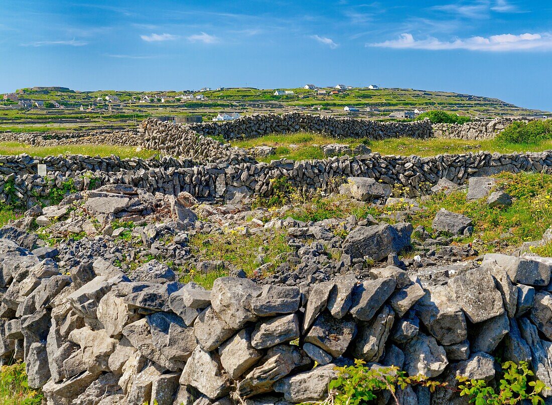 Irland, County Galway, Aran Islands, Insel Inishmaan, Steinmauern