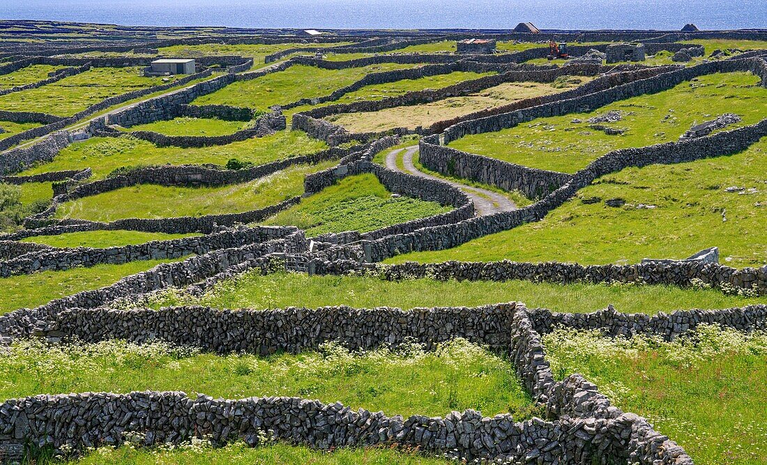 Irland, County Galway, Aran Islands, Insel Inishmaan,  Steinmauern