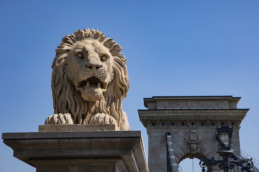 Löwenstatue auf der Széchenyi-Kettenbrücke über der Donau, Budapest, Pest, Ungarn, Europa