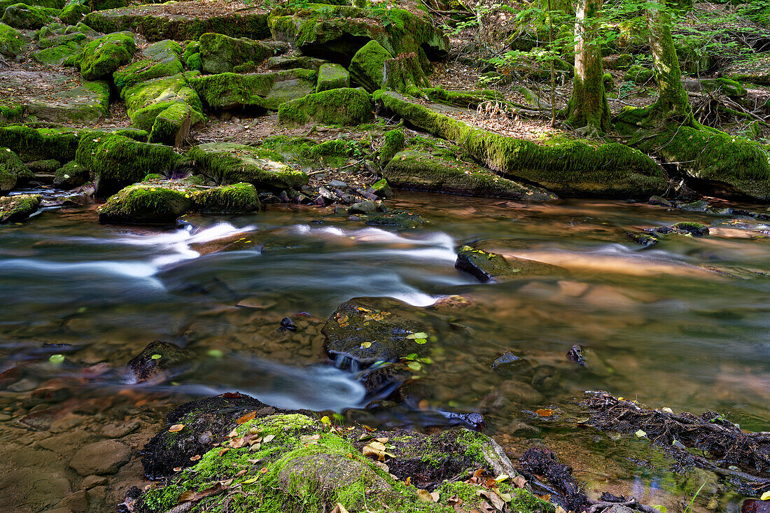 Der Flusslauf der Thulba in der Kernzone des Biosphärenreservats Rhön zwischen Oberthulba und Thulba, Landkreis Bad Kissingen, Unterfranken, Franken, Bayern, Deutschland