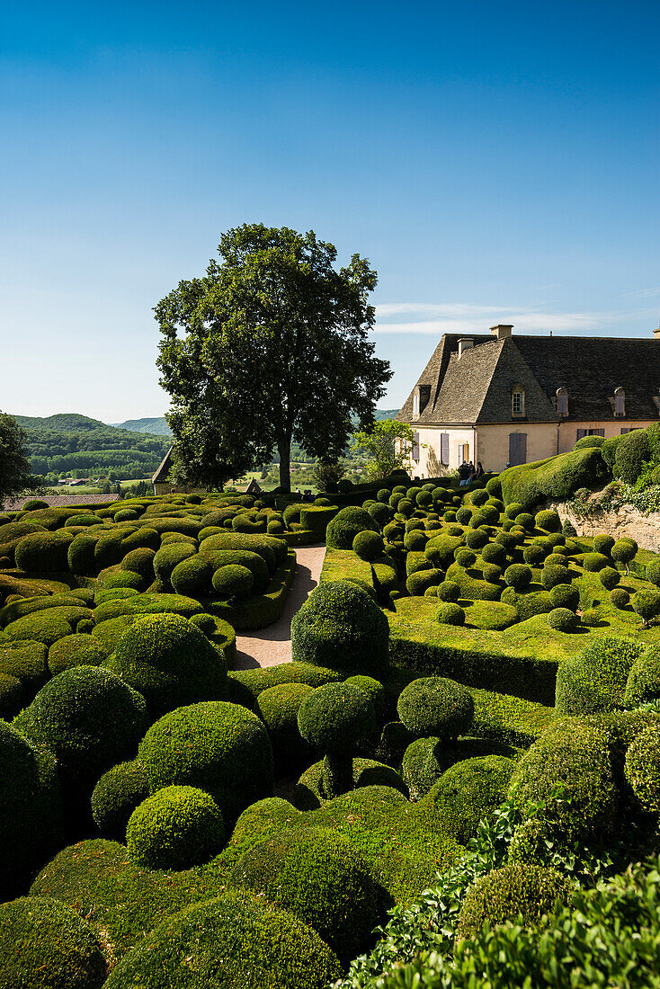 Boxwood garden, Les Jardins de Marqueyssac, Vezac, Dordogne, Périgord, Dordogne department, Nouvelle-Aquitaine region, France