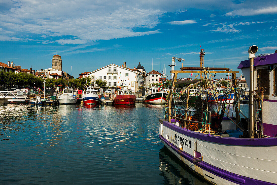 Fishing boats in the harbor, Saint-Jean-de-Luz, Aquitaine region, Pyrénées-Atlantiques department, Atlantic Ocean, France
