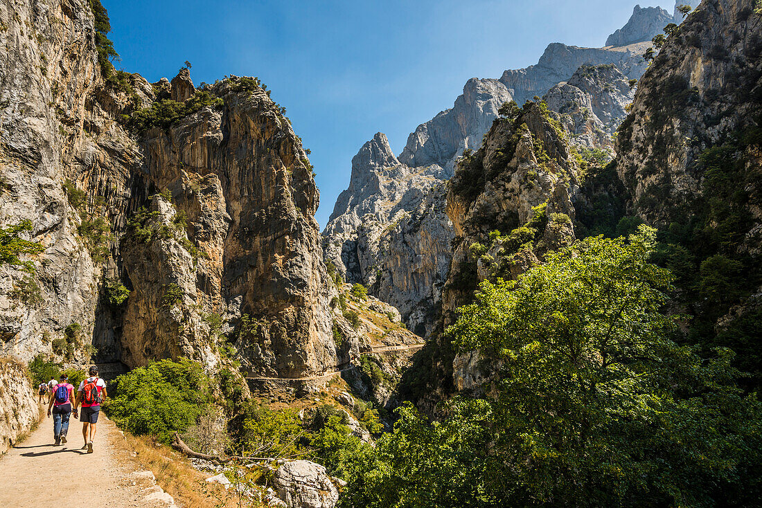 Hiking trail through the Cares Gorge, Rio Cares, Picos de la Europa National Park, Cain, Castilla y León, Cantabria, Northern Spain, Spain