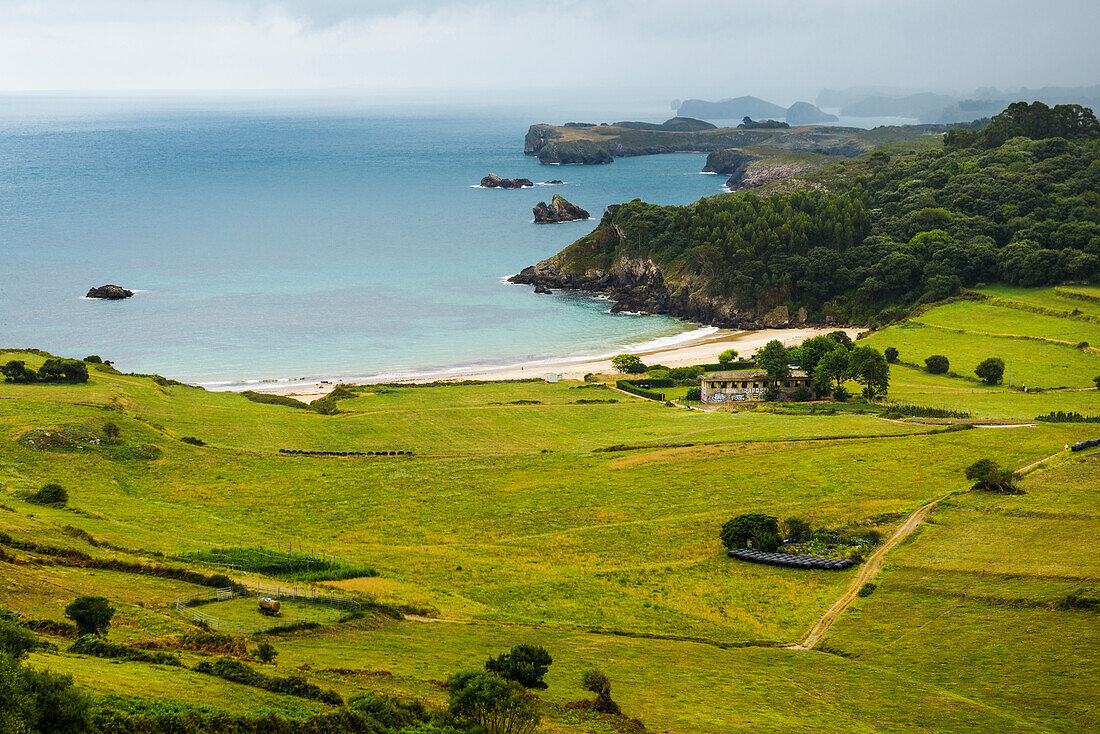 Coastal landscape, near Llanes, Asturias, Asturias, Costa Verde, Northern Spain, Biscay, Spain