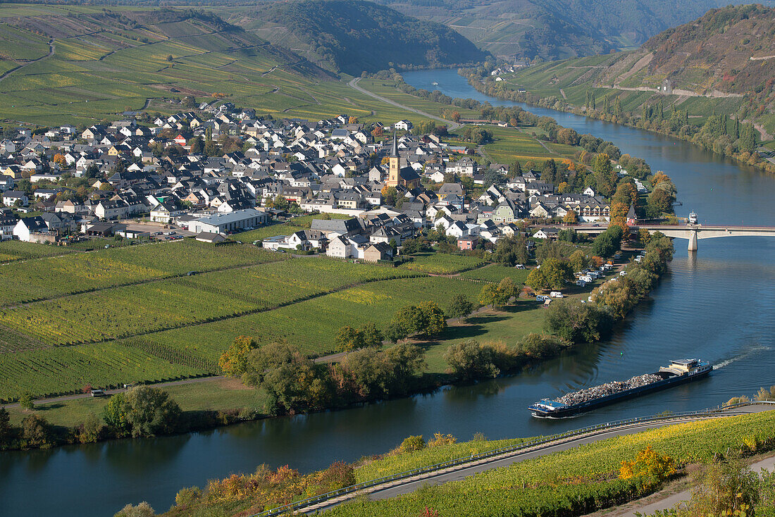 Trittenheim; ein Frachtschiff passiert den bekannten Weinort an der Mosel, Rheinland-Pfalz, Deutschland