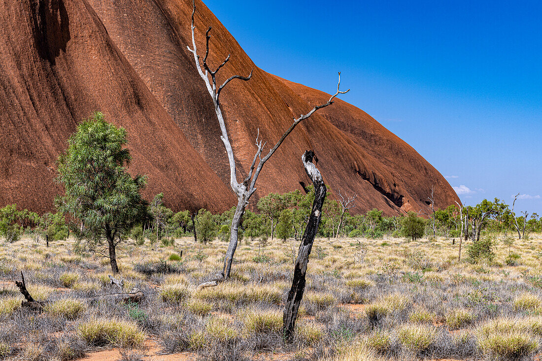 Uluru is sacred to the Pitjantjatjara, the Aboriginal people of the area, known as the Aṉangu. The area around the formation is home to an abundance of springs, waterholes, rock caves and ancient paintings.