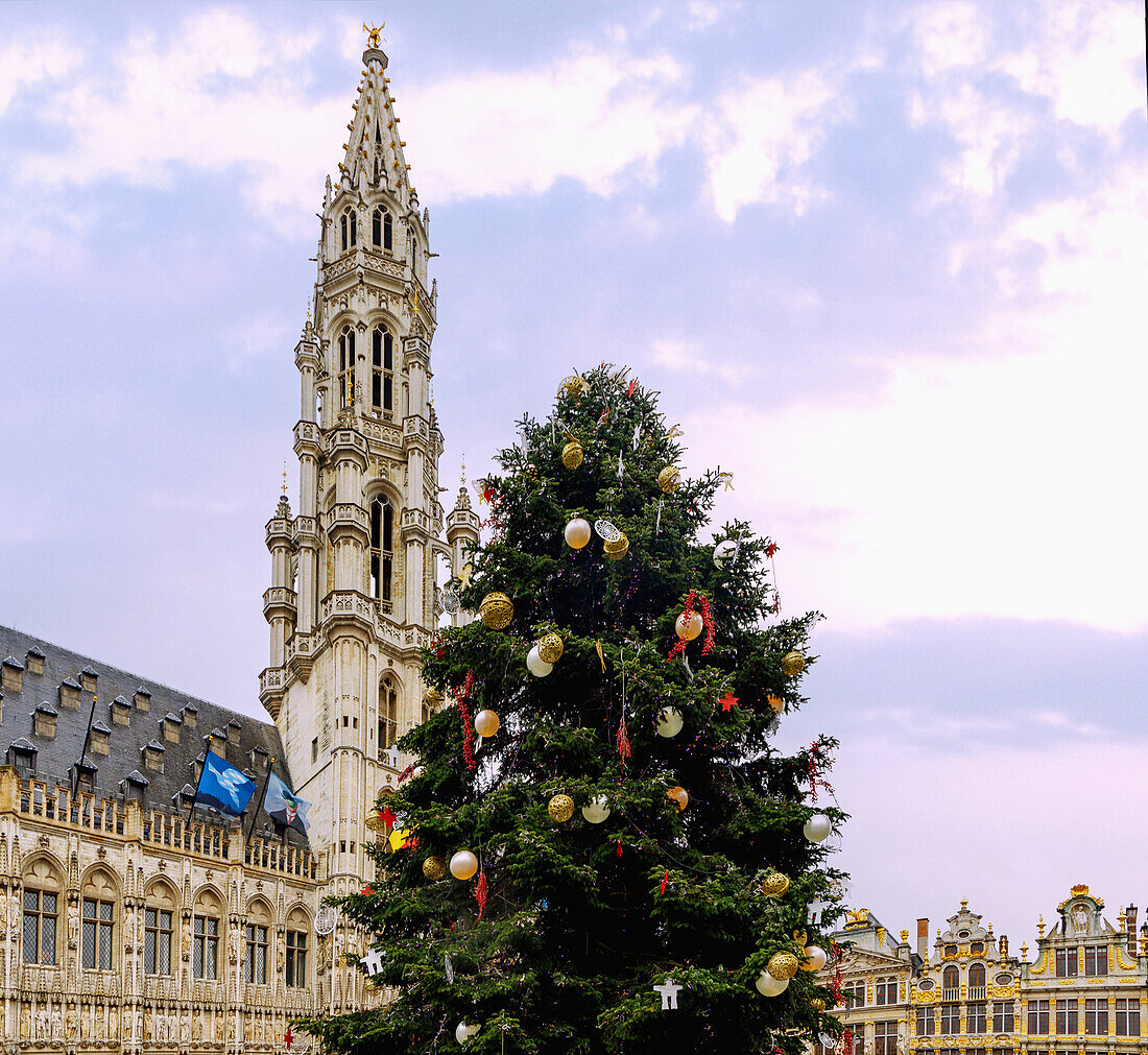 La Grand Place (Grote Markt, Grand-Place) mit Hôtel de Ville (Rathaus, Stadhuis) und Weihnachtsbaum in Brüssel in Belgien