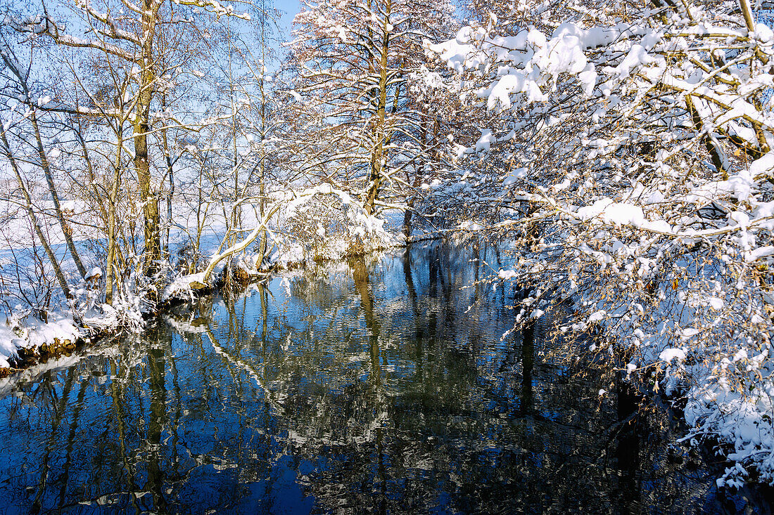 Winterly snow-covered banks of the Schwillach in Erdinger Land in Upper Bavaria in Germany