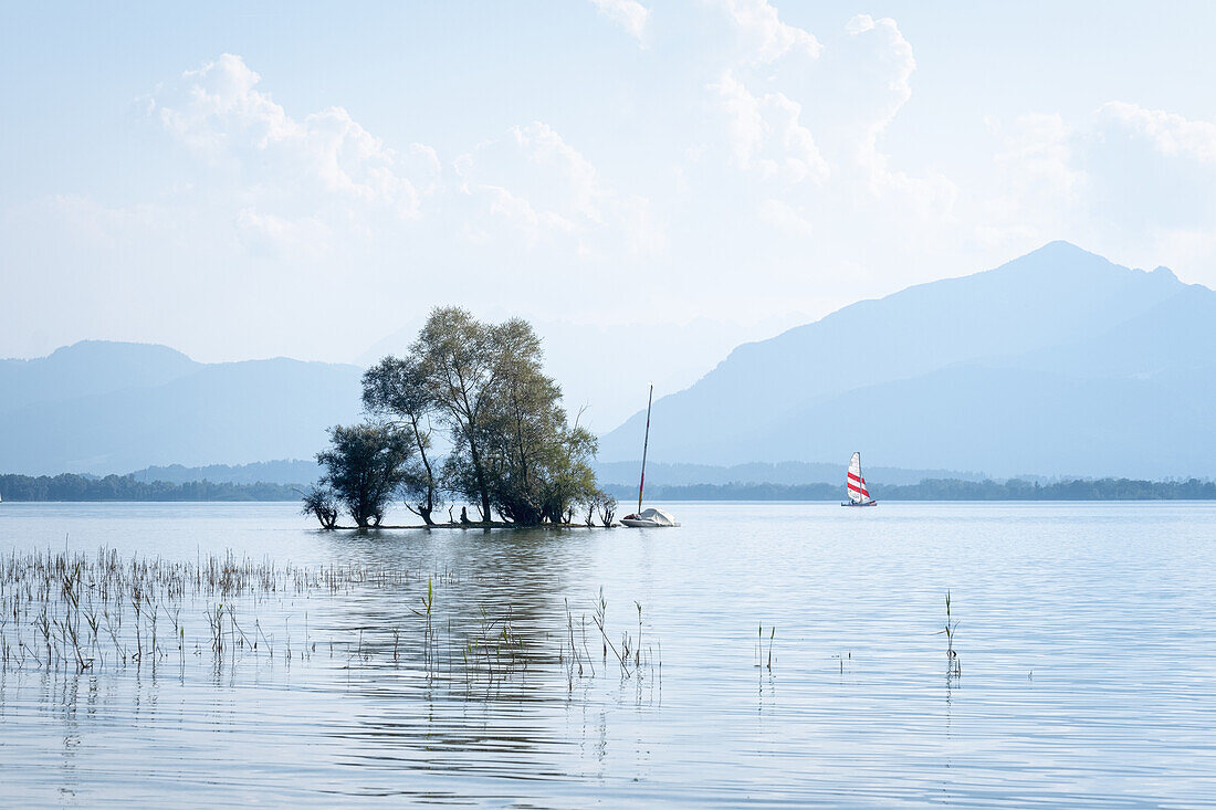 View of Lake Chiemsee with tree island in the foreground, Chiemsee, Bavaria, Germany, Europe