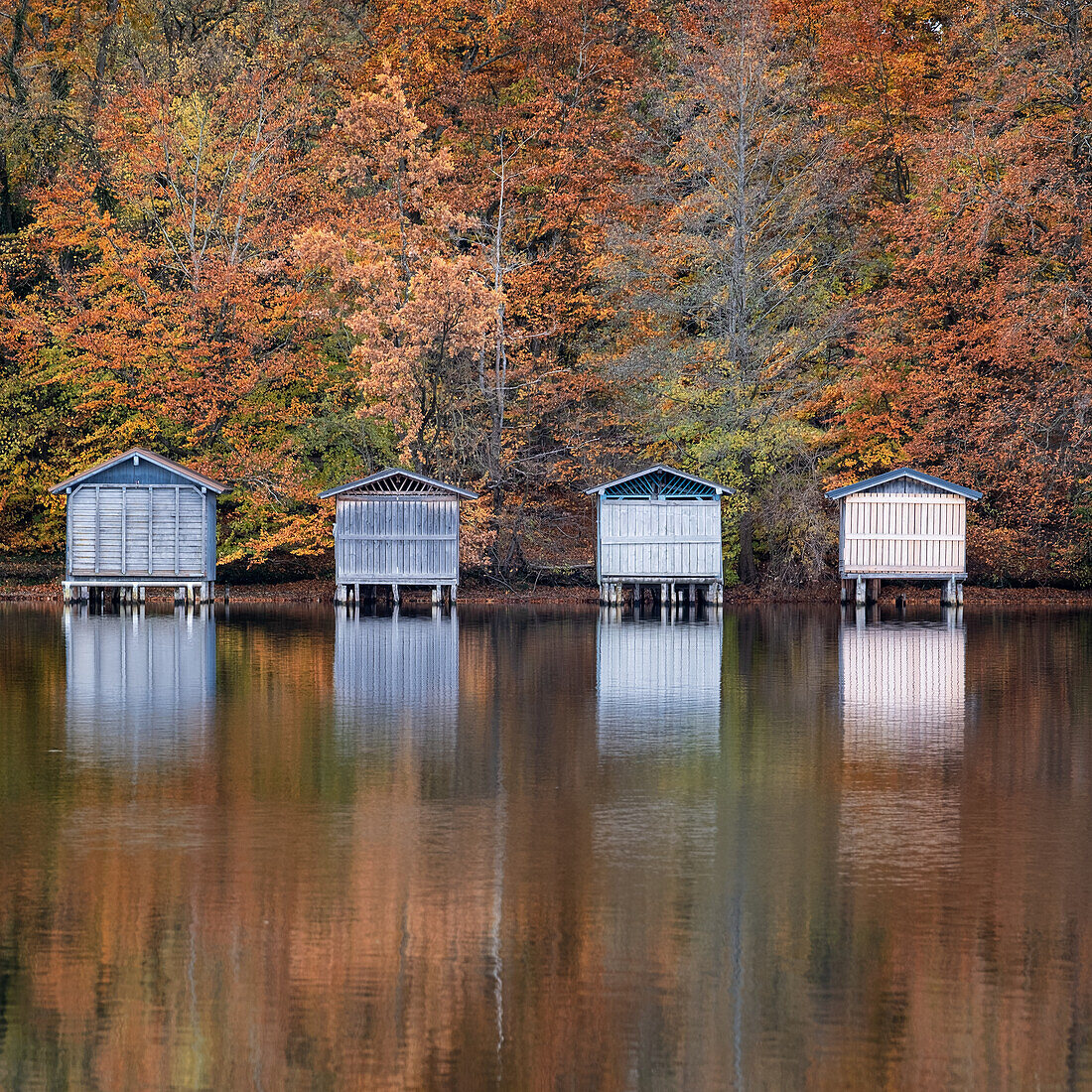 Bootshäuser am Weßlinger See im Herbst, Weßling, Oberbayern, Bayern, Deutschland, Europa