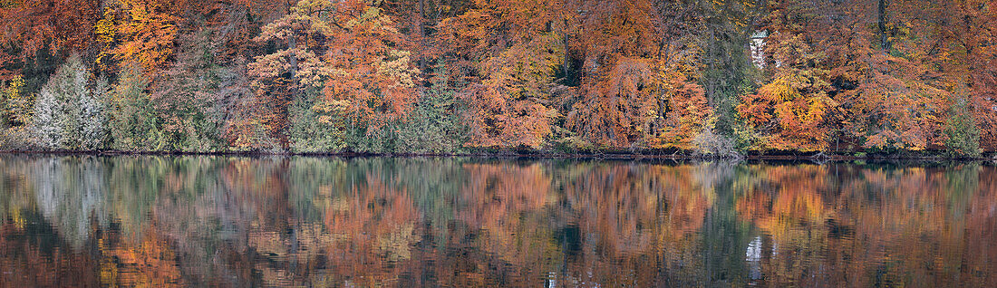 Panorama of Weßlinger See in autumn, Weßling, Upper Bavaria, Bavaria, Germany, Europe