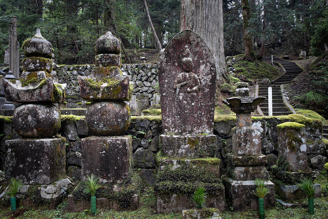 Blick auf Grabsteine mit Moos im Friedhof Okunoin, Okuno-in, Koyasan, Koya, Ito District, Wakayama, Japan