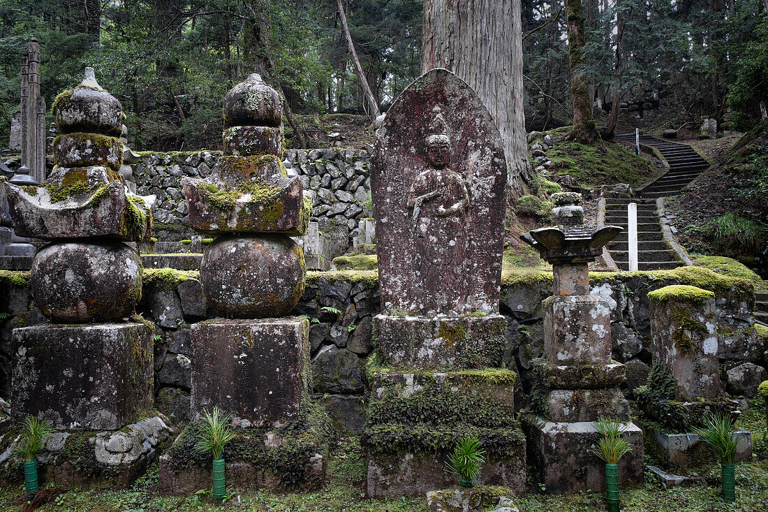 View of gravestones with moss in Okunoin Cemetery, Okuno-in, Koyasan, Koya, Ito District, Wakayama, Japan